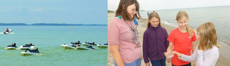 Surfer im Wasser und Kinder begutachten Muscheln