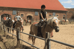 Reiten