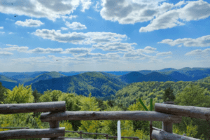 Aussicht Pfälzerwald