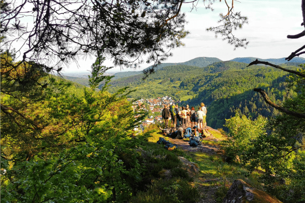 Trekking im Pfälzerwald