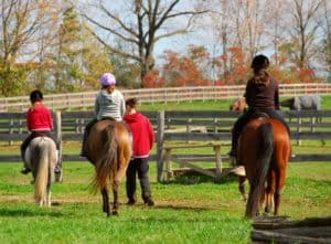 Kinder während des Reitunterrichts in den Sommercamps in Mecklenburg-Vorpommern