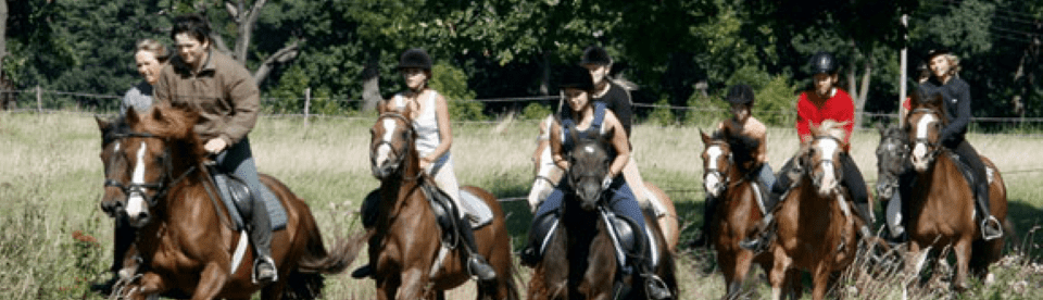 Gruppe reitet auf Weide