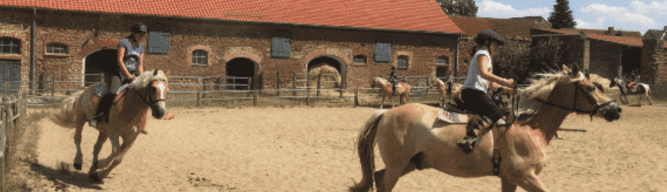 Pferde reiten im Kreis
