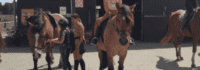 Mädchen auf Pferd vor Stall