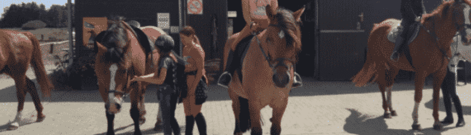 Mädchen auf Pferd vor Stall