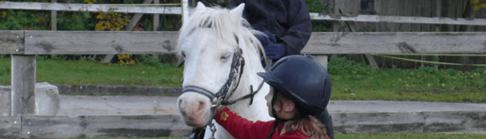 Mädchen führt weißes Pferd