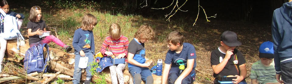 Mittagspause und Essen im Wald
