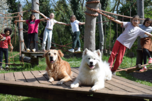 Kinder im Abenteuercamp mit Hunden