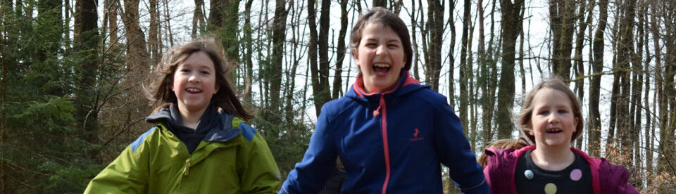 Kinder haben gemeinsam Spaß im Wald