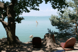 wasser mit segelboot