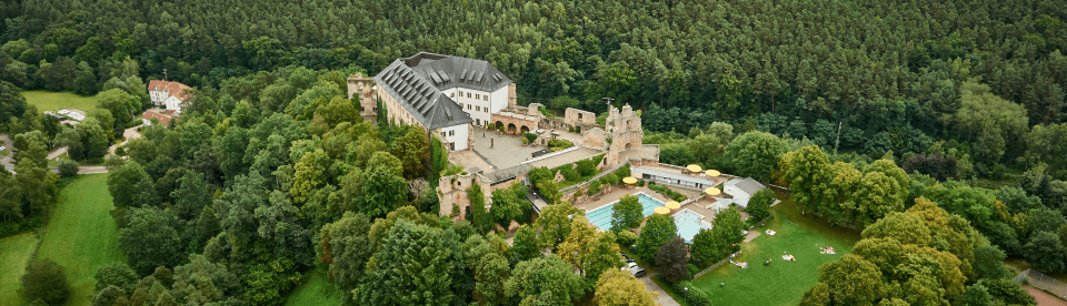 Altleiningen Engilsch im Schloss