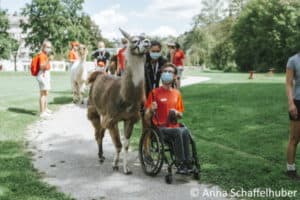 Alpakawanderung im Ferienlager für Menschen mit Behinderung
