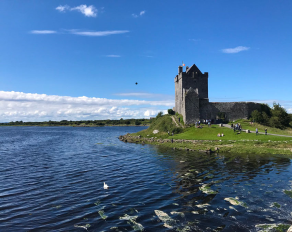 Castle in Cork am See