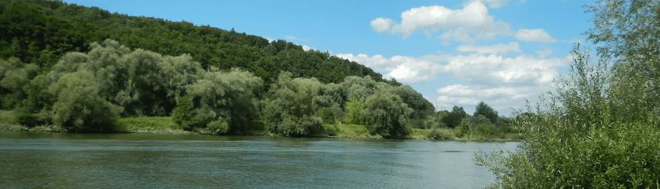 Aussicht über den Fluss