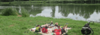 Picknick an der Donau