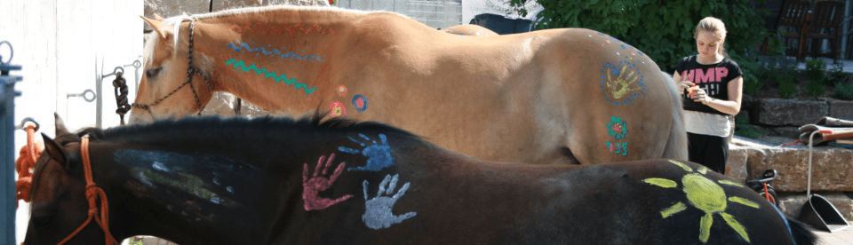Ponyspaß im Reitcamp für Anfänger