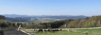 Ausblick über Weiden und den Bayerischen Wald