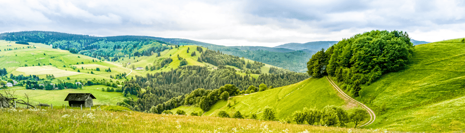 Schöne Landschaft im Schwarzwald