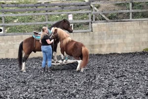 Zirkuslektionen mit Ponies im Talbachhol