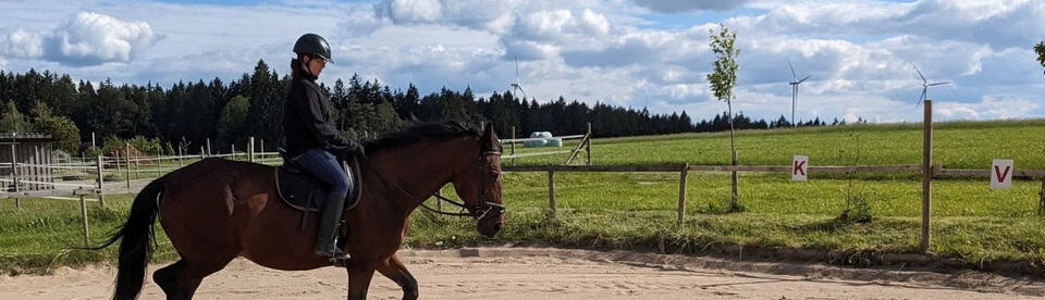 Reitunterricht auf dem Reitplatz