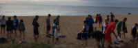 Gruppentreffen am Strand