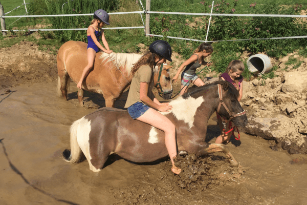 Ponys und Mädchen planschen im Matsch