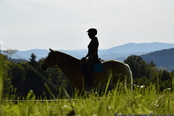 Frau sitz auf einem Pferd auf einer Wiese