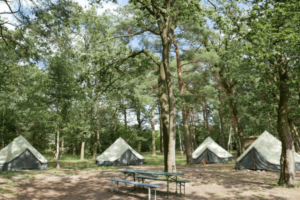 Zeltlager Tanccamp