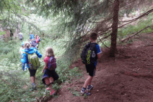 Kinder wandern in einem Wald
