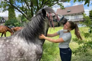 Mädchen spielt mit Pferd im Reitcamp Wiehl mit Englisch