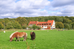 Unterkunft Empowerment Camp Mödingen Bayern