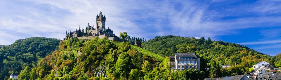 Burg und Weinfelder an der Mosel