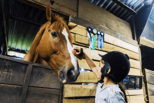 Mädchen putzt Pferdekopf im Reiten und Englisch Camp