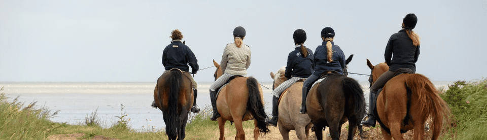 Ausritt am Strand mit fünf Pferden