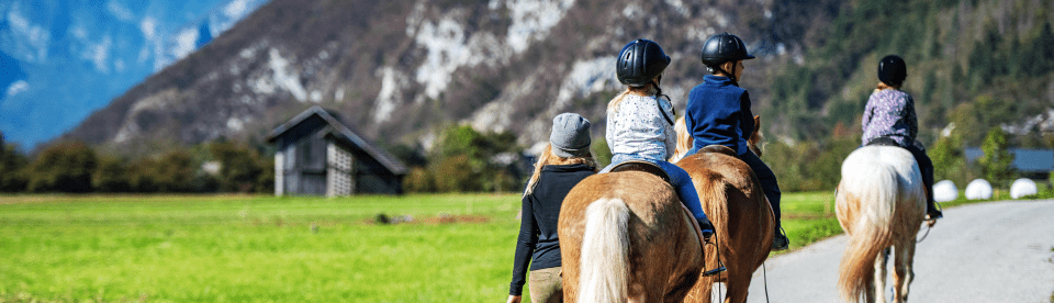 Geführter Ausritt mit schönem Ausblick