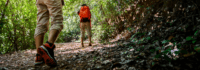 Outdoorsport in Niedersonthofen