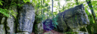 Wald und Felsen bei Pottenstein