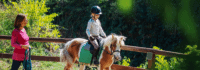 Ein Mädchen reitet auf einem Pony