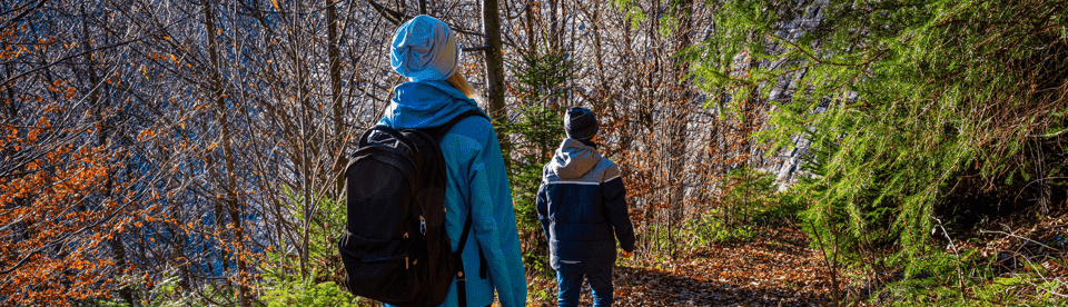 Wandern durch den Herbst