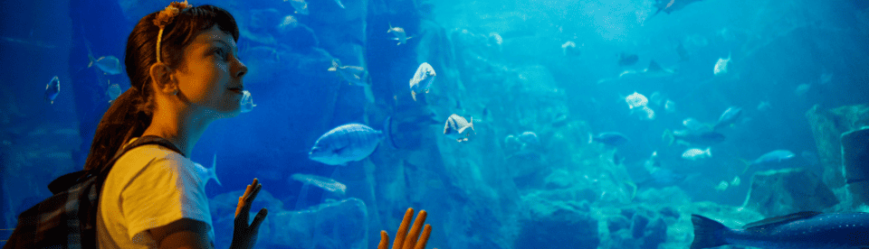 Mädchen steht vor Aquarium