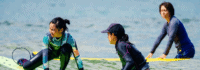 Surfen im Meer