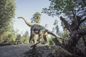 Auf Dinosauriersuche im Erlebniscamp Altmühltal