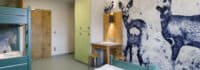Mehrbettzimmer der Jugendherberge
