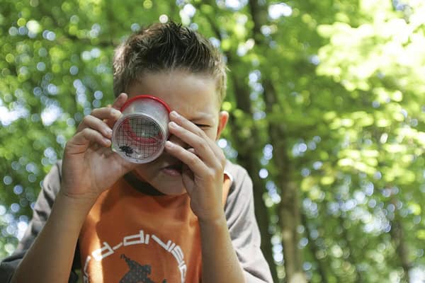 Kinder und Jugendliche erleben eine Outdorowoche im Wildniscamp Mönchengladbach