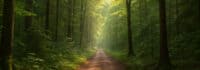 Kinder und Jugendliche erleben eine Outdoorwoche im Wildniscamp Mönchengladbach