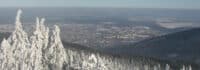 Winterlandschaft Thüringer Wald