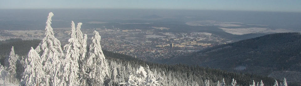 Winterlandschaft Thüringer Wald