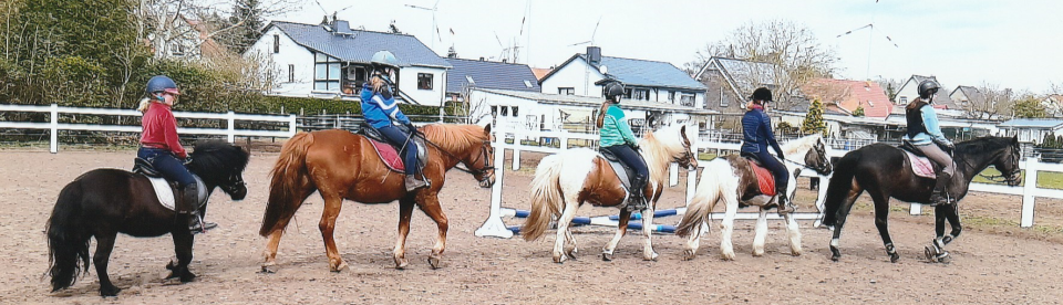 Reitunterricht im Feriencamp