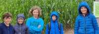 Jungs vor dem Maislabyrinth