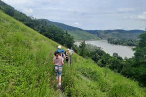 Aussicht beim Wandern im Familiencamp Naheland